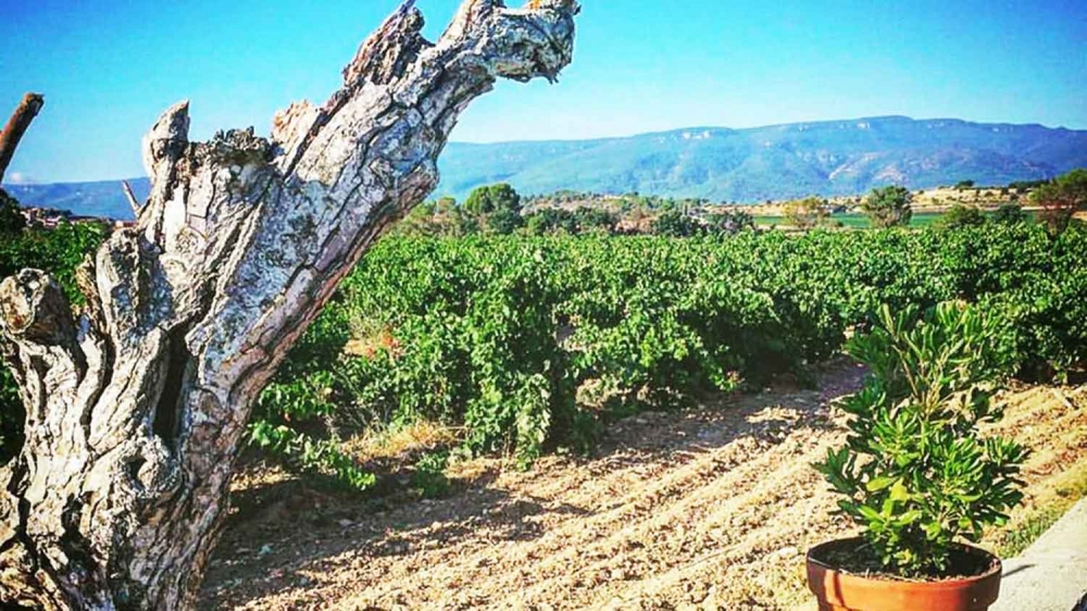 Heretat_Masia_Poblet_01
