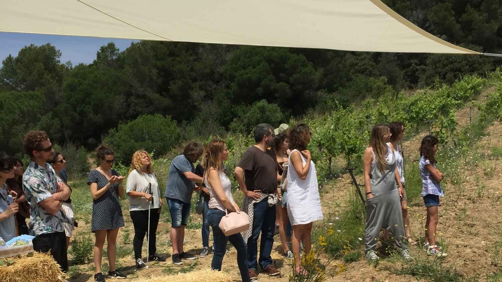 Celler Anima Alella Maresme Enoturisme Catalunya 05