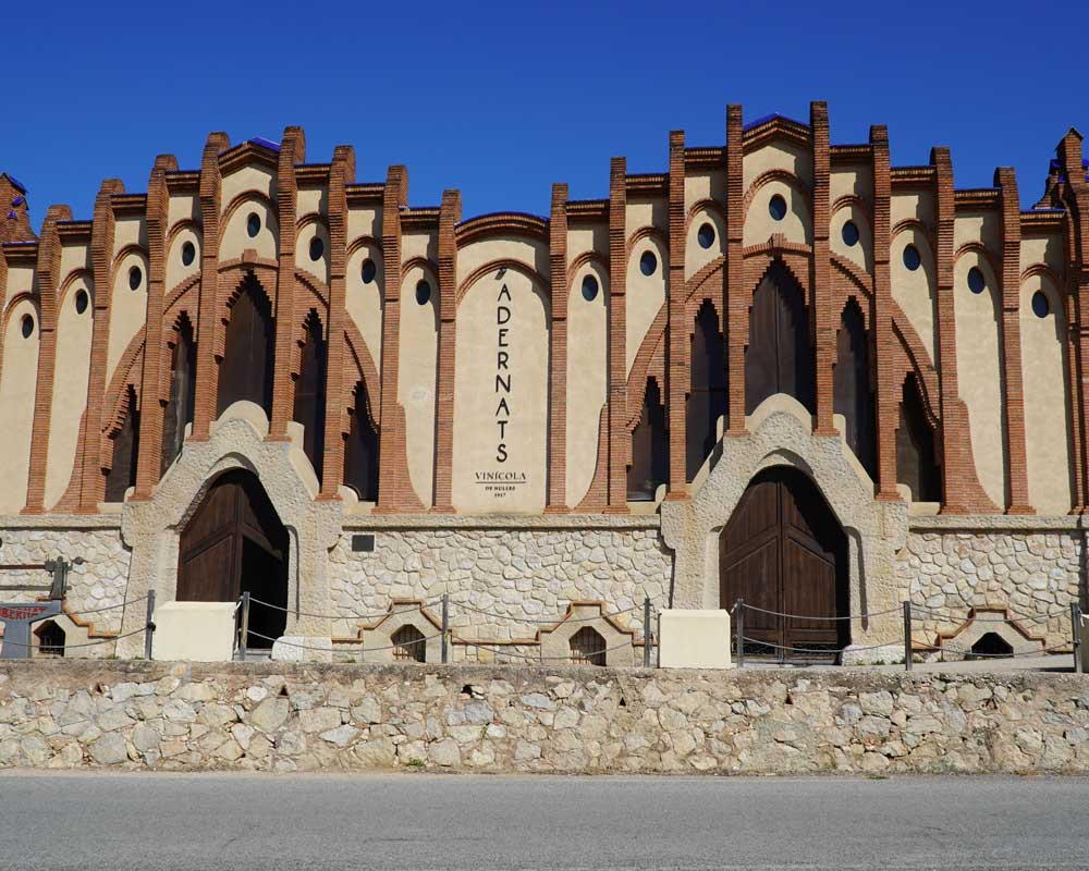 Una autèntica catedral del vi a Nulles (Tarragona)