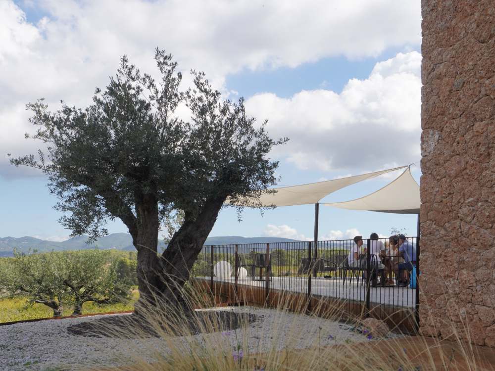 Maridatge de formatges amb vins i caves a una gran terrassa