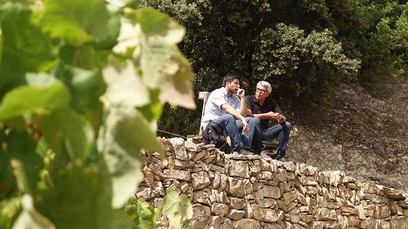 Vinyes Domènech, biodiversitat i vins botànics al Priorat