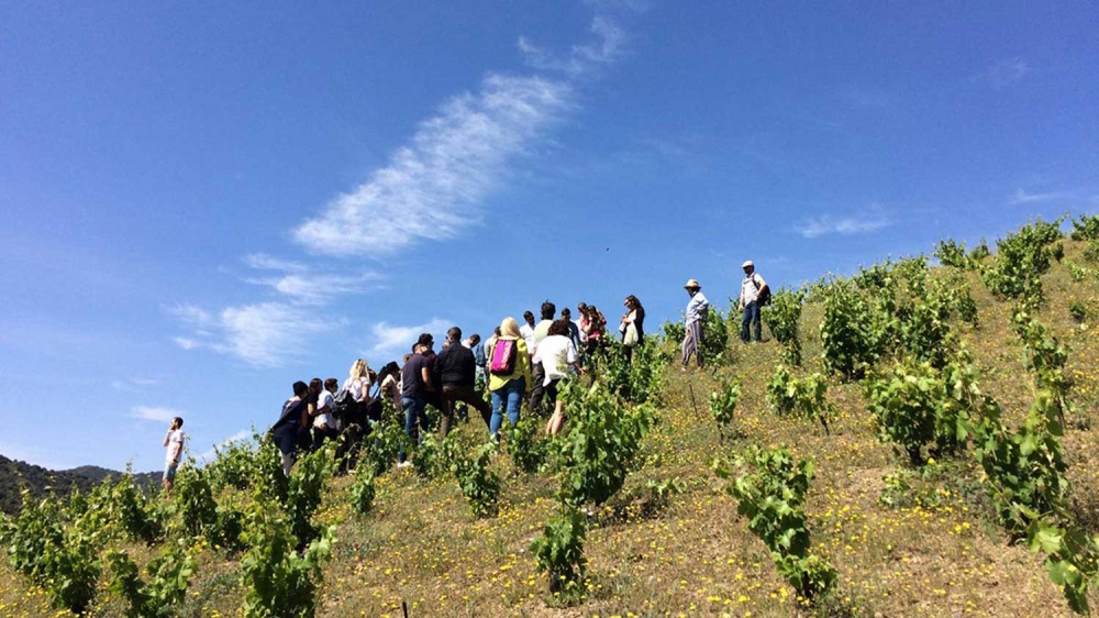 celler-mas-doix-poboleda-visites-priorat-enoturisme-catalunya 05