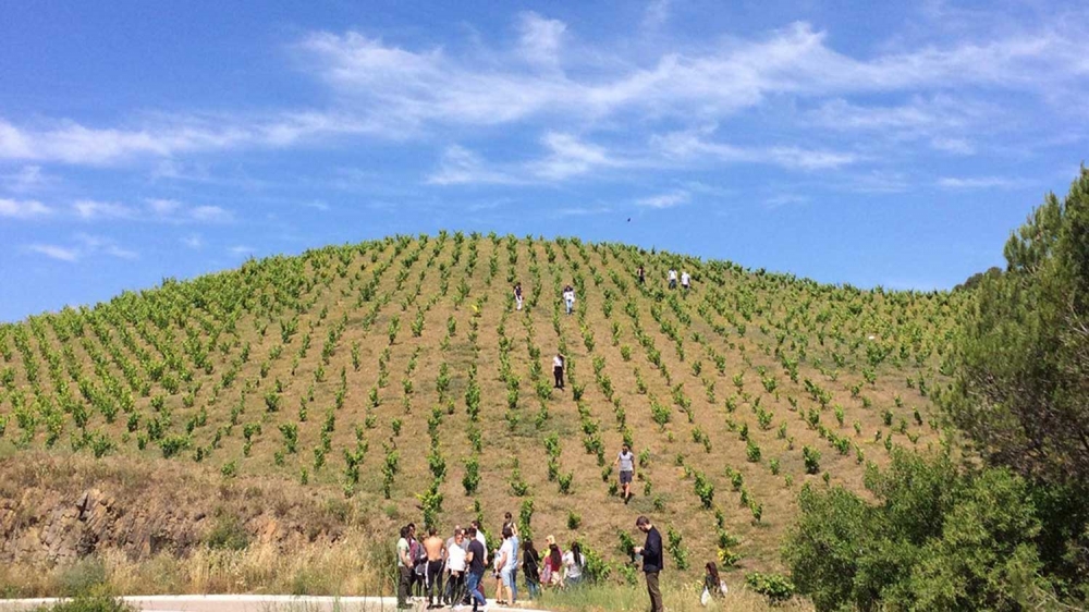 celler-mas-doix-poboleda-visites-priorat-enoturisme-catalunya 06