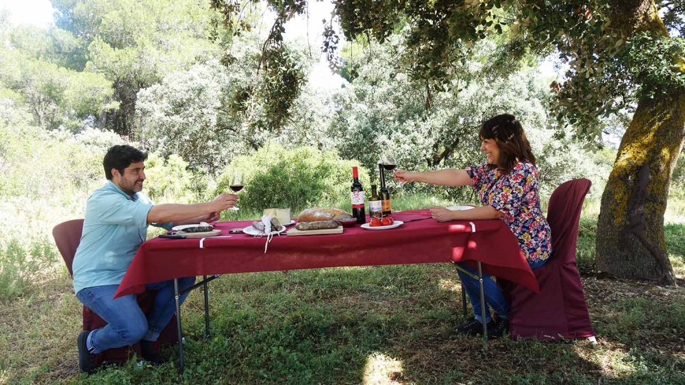Pícnic a les vinyes