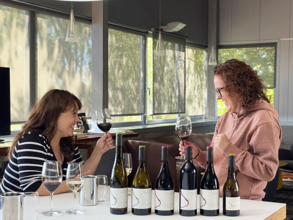 Tast de vins al celler Castell d'Encus de Talarn