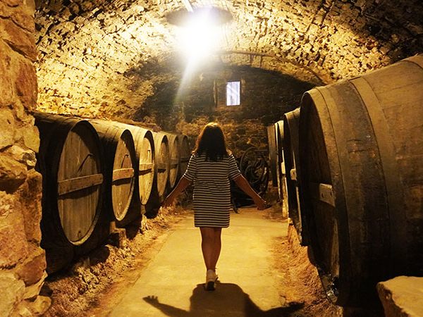 Un dels atractius de la visita a Abadal és la Masia Roqueta