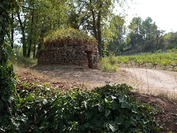 Cabana de pedra seca a les vinyes d'Abadal al Bages