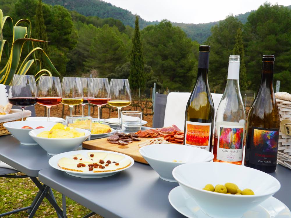 El pícnic de Can Marlès es fa entre vinyes a la vall del Montmell, al Penedès