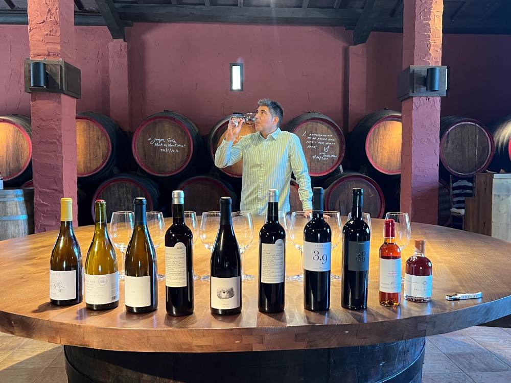Tast de deu vins del celler Abadal al Bages
