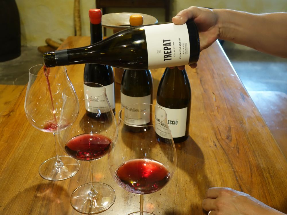 Tast de vins de la varietat Trepat al celler Josep Foraster de la Conca de Barberà