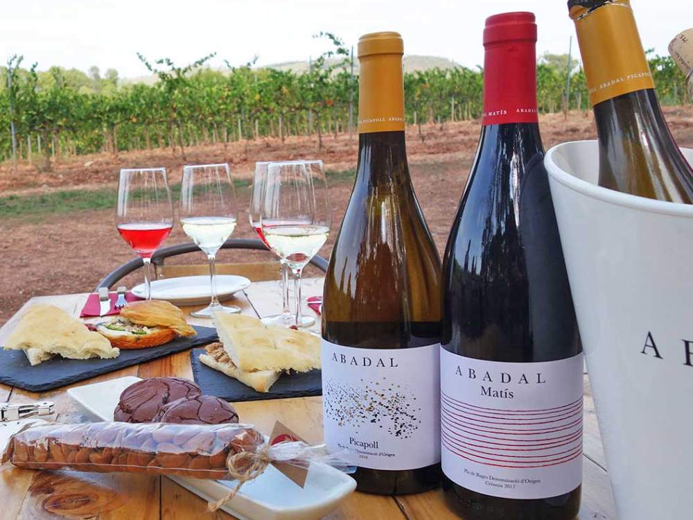 Brunch entre vinyes és un aperitiu complet de proximitat amb vins d'Abadal per gaudir al teu aire
