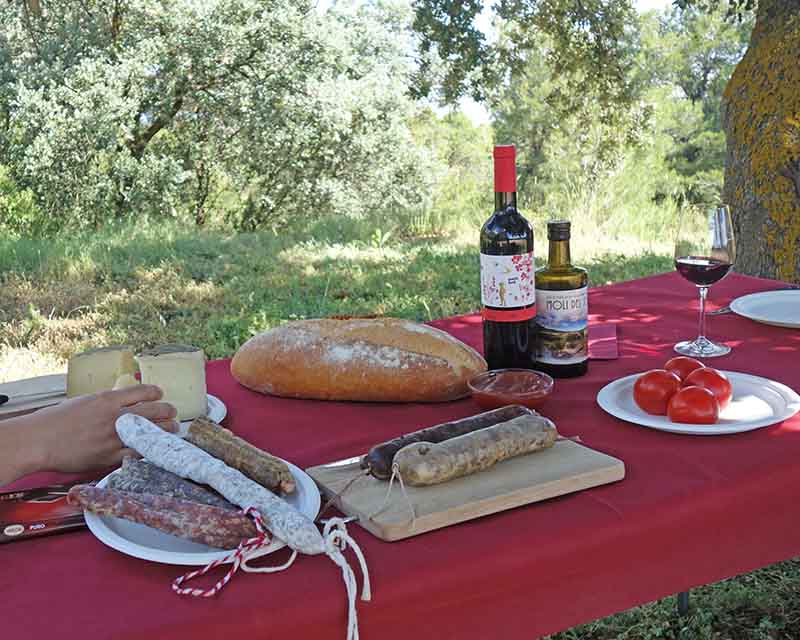 Pícnic entre vinyes a Mas Blanch i Jové a Lleida