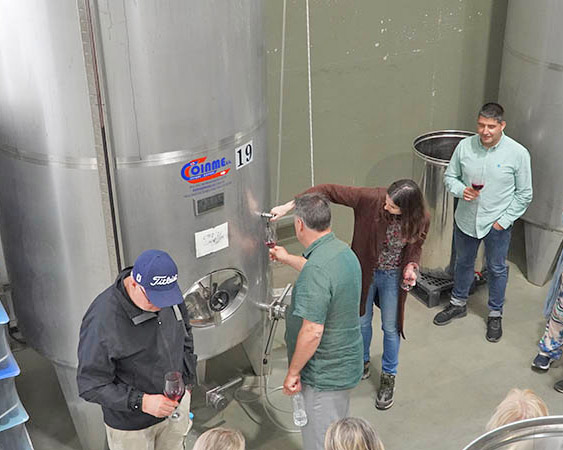 Tast de botes a Mas Blanch i Jové