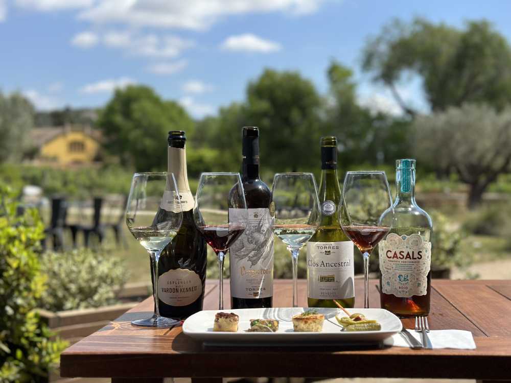 Detall dels quatre vins i quatre tapes de la viaita maridatge a Família Torres al Penedès