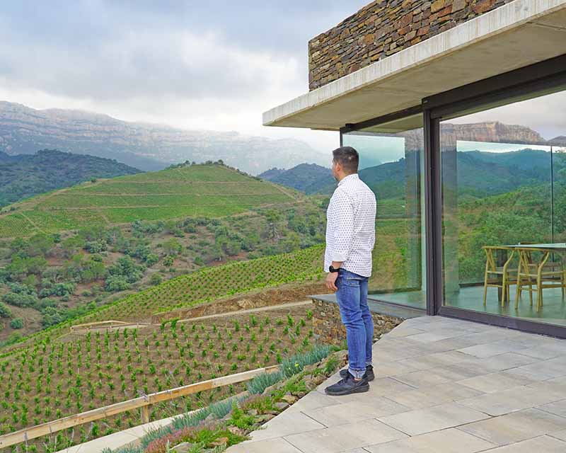 Les vistes al Priorat des del celler Mas Doix