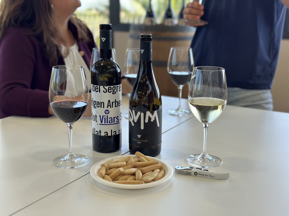 Tast comentat de 2 vins a Vinya els Vilars