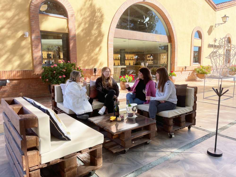 Visita al celler visitable Kripta amb tast d'escumosos a la terrassa Pin's