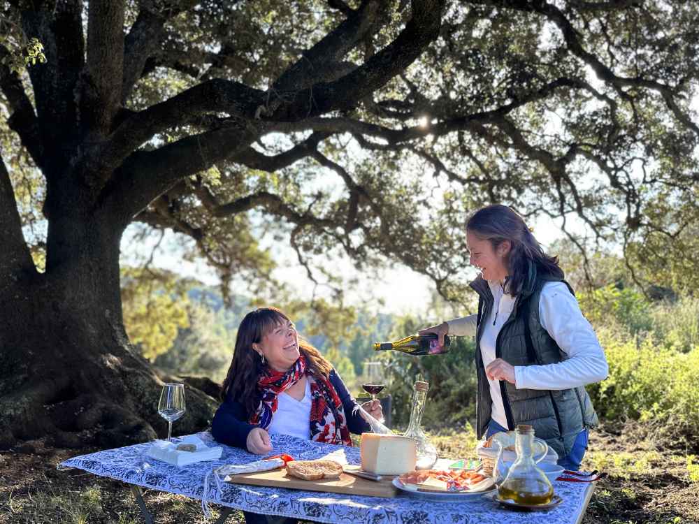 Tast de vins i maridatge al celler visitable de Can Marlès durant l'activitat Ruta de Pedra.