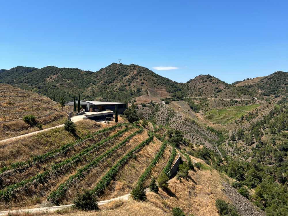 El celler Ferrer Bobet s'alça entre costers de llicorella al Priorat