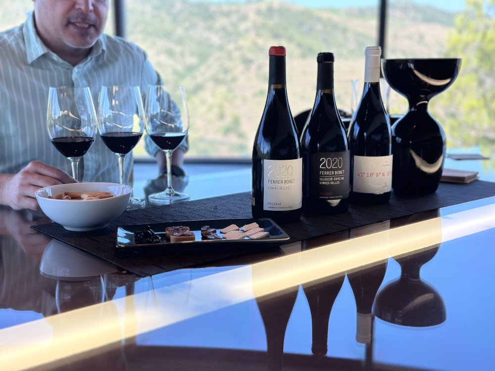 Tast de tres vins i aperitius al celler Ferrer Bobet del Priorat