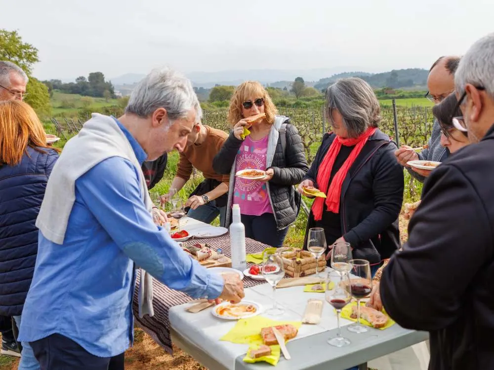 Esmorzar a les vinyes del celler Cooperatiu d'Artés.