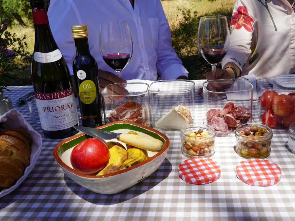 Productes de proximitat i vins al pícnic de Mas d'en Gil al Priorat