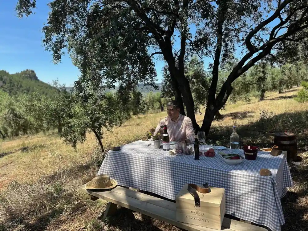 Taula amb pícnic entre vinyes i boscos a Mas d'en Gil