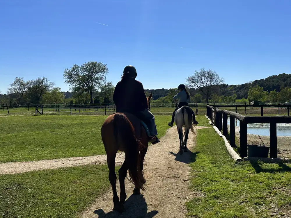 Visita amb cavalls a Clos de Basella
