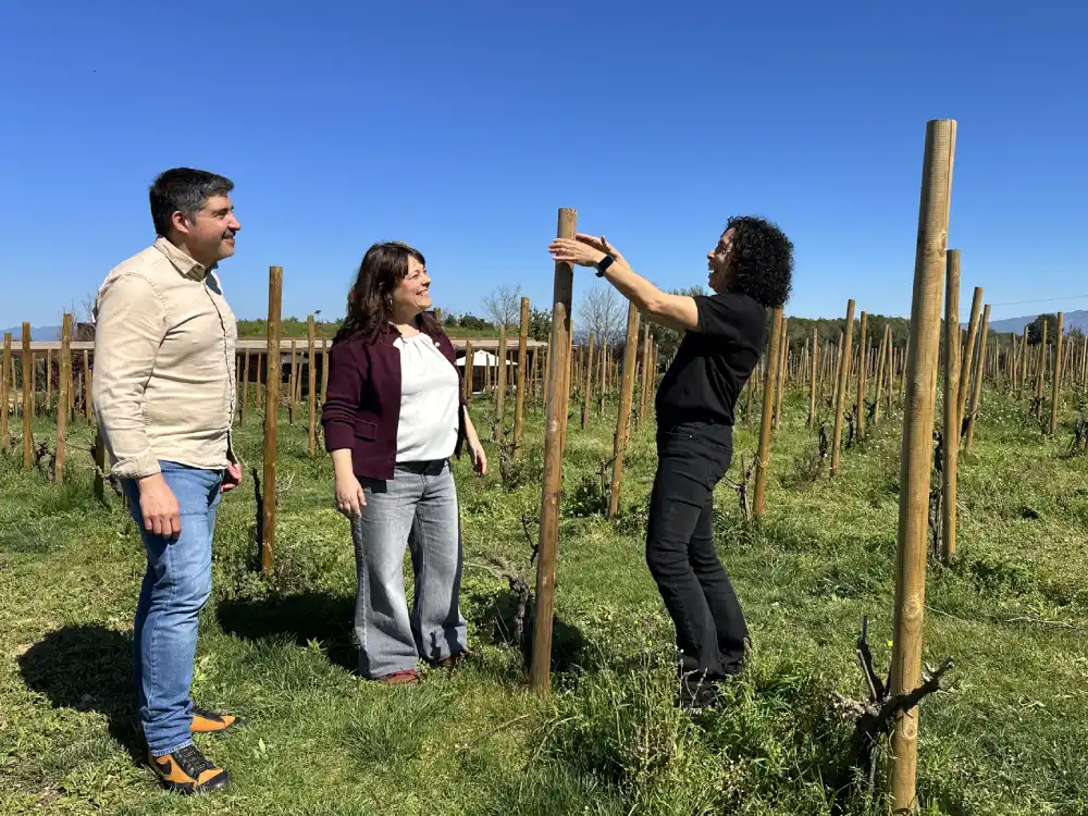 Visita guiada a les vinyes de Clos de Basella a l'Empordà