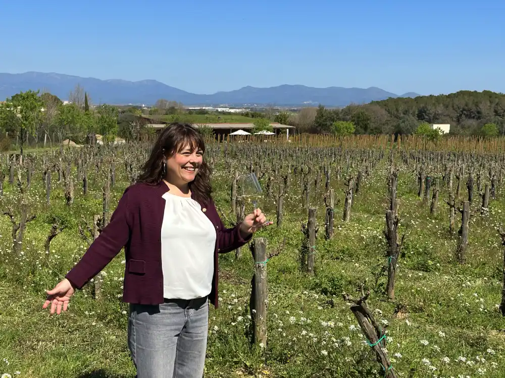 Vistes a l'Empordà des de les vinyes de Clos de Basella
