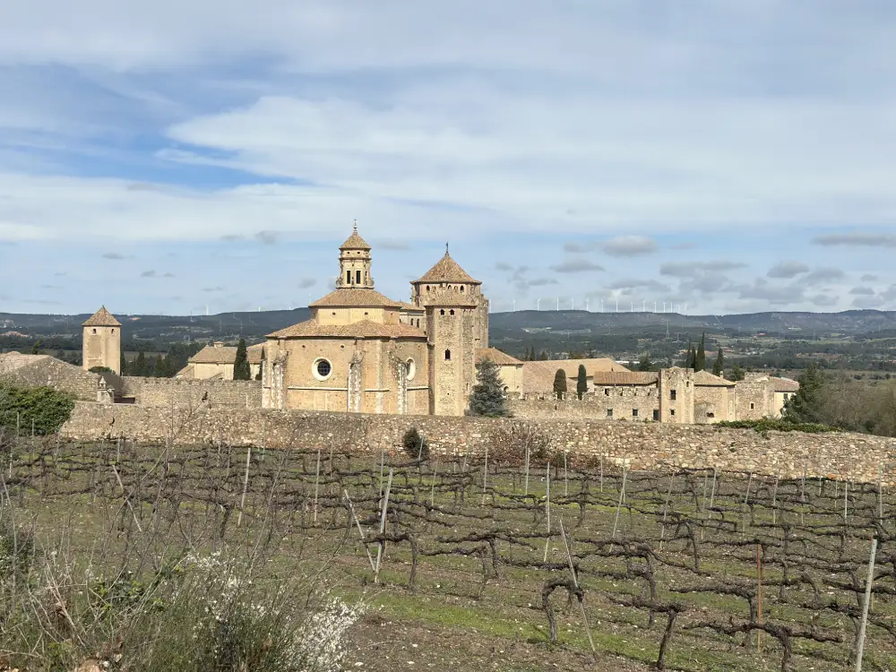 Les vinyes que envolten el monestir de Poblet