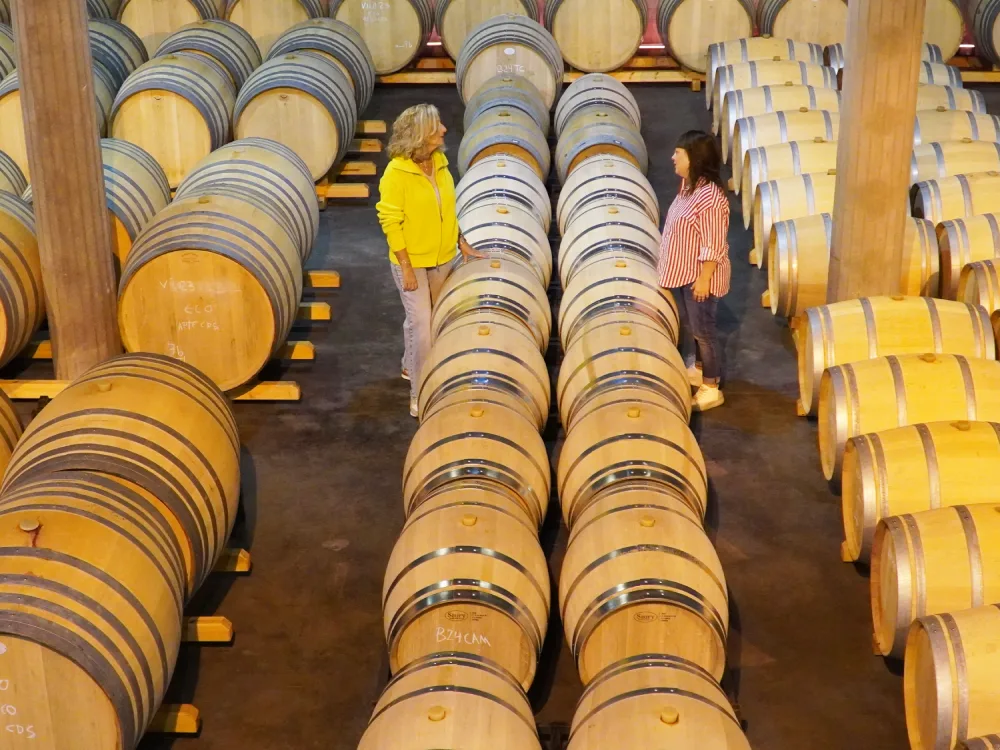 Sala de botes del celler Tomàs Cusiné a Lleida