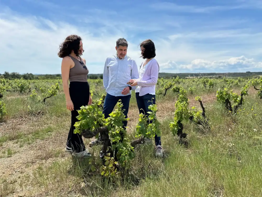 Les activitats entre vinyes a Catalunya es poden fer tot l'any.