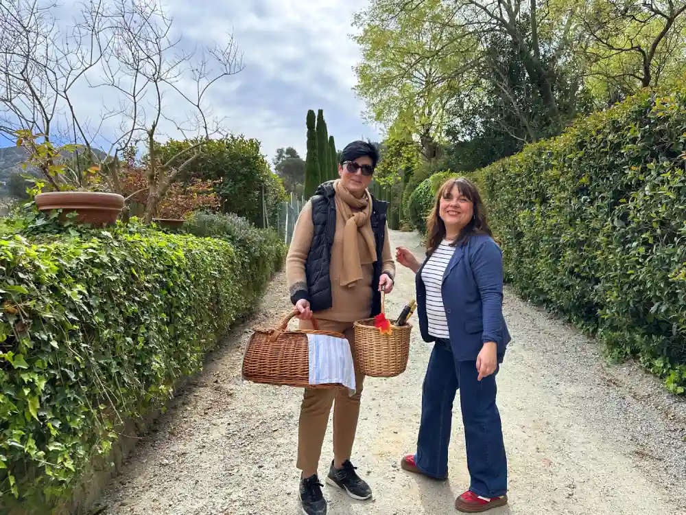 Cistells plens d'embotits i vins per fer el brunch al celler Can Roda a la DO Alella