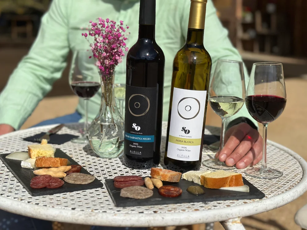 Tast de vins al celler Can Roda a la DO Alella