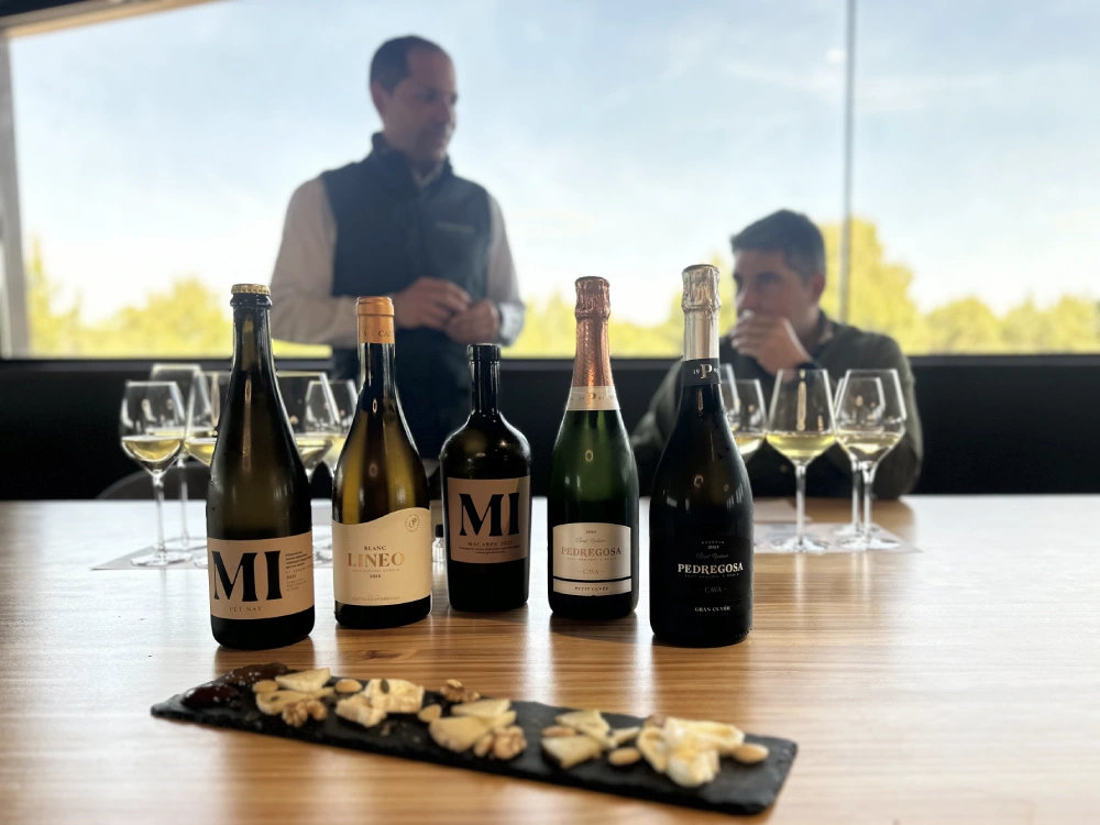 El maridatge de formatges de Castelo de Pedregosa combina vins, caves o formatges del Penedès.