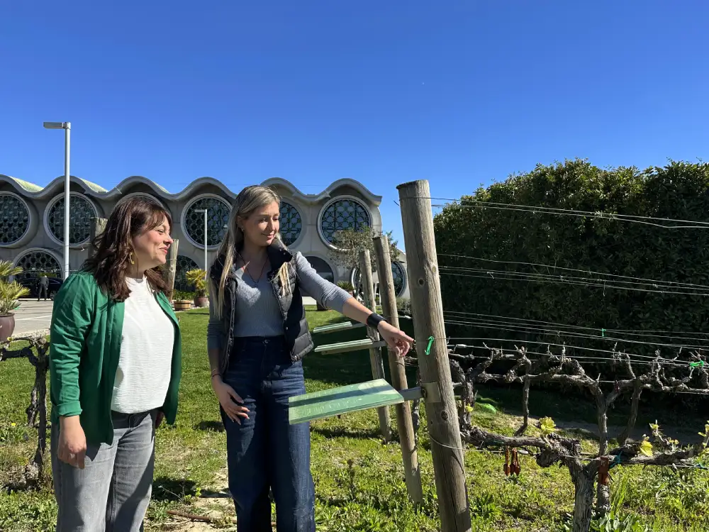 Visita al celler i les vinyes de Mastinell