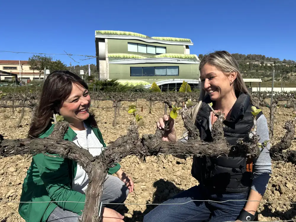 Visita a les vinyes de Mastinell