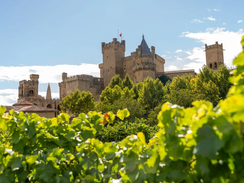 Castell a Ribera Alta a la DO Navarra
