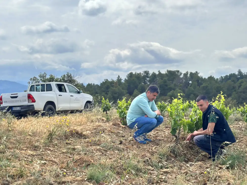 Ruta en 4x4 entre vinyes del Priorat a Vins La Conreria d'Escaladei